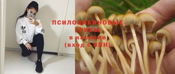 соль ск Белоозёрский