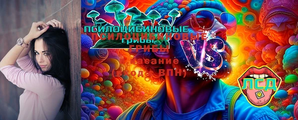 соль ск Белоозёрский
