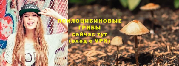 соль ск Белоозёрский