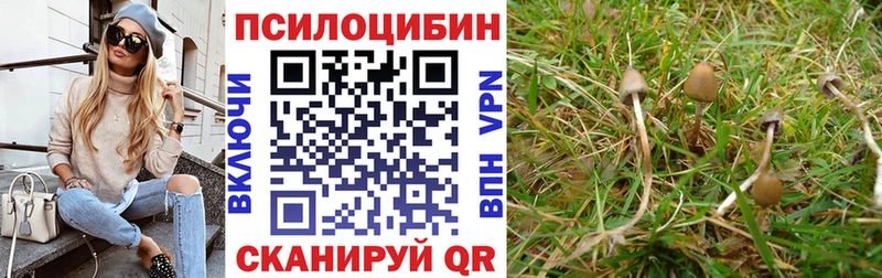 Псилоцибиновые грибы Psilocybe где купить наркотик KRAKEN онион Вытегра